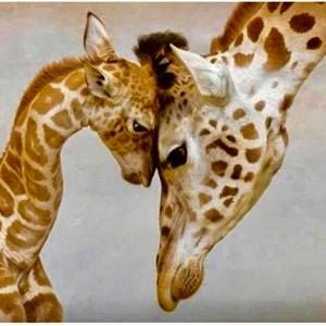 Meet your Posher, Mario